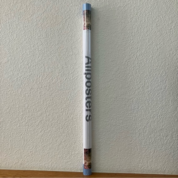 WICKED Movie Poster 22 x 34 Galinda Glinda Elphaba Ariana Grande Cynthia Erivo - Picture 9 of 10